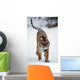 Siberian Tiger In Snow Wall Mural