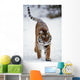 Siberian Tiger In Snow Wall Mural