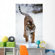 Siberian Tiger In Snow Wall Mural