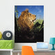 Lion With Big Mane Laying In Tall Green Grass Wall Mural