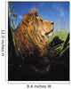 Lion With Big Mane Laying In Tall Green Grass Wall Mural