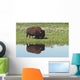 Bison On Grassy Meadow With Reflection In Pool Wall Mural