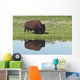 Bison On Grassy Meadow With Reflection In Pool Wall Mural