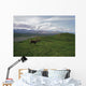 Caribou Bull In Alpine Meadow, Alaska, Usa Wall Mural