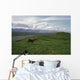 Caribou Bull In Alpine Meadow, Alaska, Usa Wall Mural