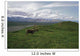 Caribou Bull In Alpine Meadow, Alaska, Usa Wall Mural