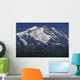 Snow-Capped Mount Mckinley, Alaska, Usa Wall Mural