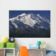 Snow-Capped Mount Mckinley, Alaska, Usa Wall Mural