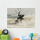 Kitesurfer Catching A Wave Wall Mural