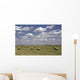Hay Bales In Field, Alberta, Canada Wall Mural