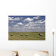 Hay Bales In Field, Alberta, Canada Wall Mural