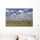 Hay Bales In Field, Alberta, Canada Wall Mural