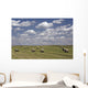 Hay Bales In Field, Alberta, Canada Wall Mural
