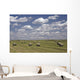 Hay Bales In Field, Alberta, Canada Wall Mural