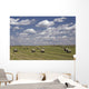 Hay Bales In Field, Alberta, Canada Wall Mural