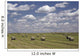 Hay Bales In Field, Alberta, Canada Wall Mural