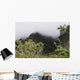 Rainforest, Maui, Hawaii Wall Mural