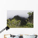 Rainforest, Maui, Hawaii Wall Mural
