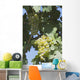 White Grapes On The Vine Wall Mural