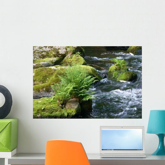 Fern Bode Wall Decal