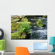 Fern Bode Wall Decal