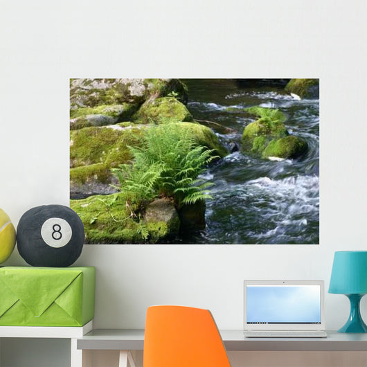 Fern Bode Wall Decal