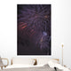 Fireworks, Crowsnest Pass, Alberta, Canada Wall Mural