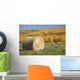 Hay Bale With Autumn Colors, Alberta, Canada Wall Mural