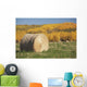 Hay Bale With Autumn Colors, Alberta, Canada Wall Mural