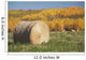 Hay Bale With Autumn Colors, Alberta, Canada Wall Mural