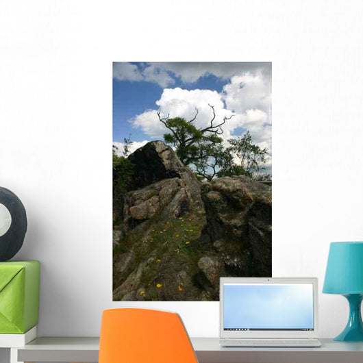 Harzlandschaft Wall Mural