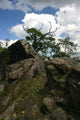 Harzlandschaft Wall Mural