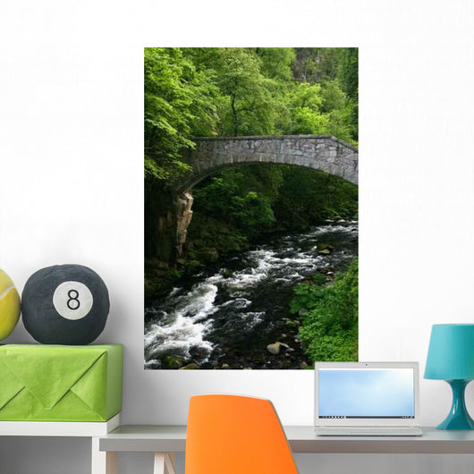 Jungfern Bridge into Bode Wall Decal