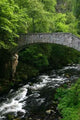 Jungfern Bridge into Bode Wall Decal