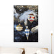 Christmas Ornaments Wall Mural