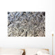Frost Pattern On Window, Calgary, Alberta, Canada Wall Mural