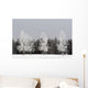 Frost On Trees, Calgary, Alberta, Canada Wall Mural