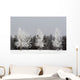 Frost On Trees, Calgary, Alberta, Canada Wall Mural
