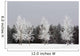 Frost On Trees, Calgary, Alberta, Canada Wall Mural