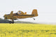 Crop Duster Spraying Flowering Canola Field Wall Mural