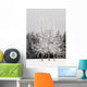 Frost On Trees Wall Mural