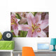 Asiatic Lily Wall Mural