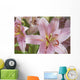 Asiatic Lily Wall Mural