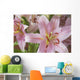 Asiatic Lily Wall Mural