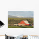Red Barn With Horses Grazing Wall Mural