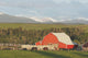 Red Barn With Horses Grazing Wall Mural