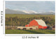 Red Barn With Horses Grazing Wall Mural