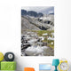 Mountain Stream And Mountains Wall Mural