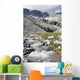 Mountain Stream And Mountains Wall Mural