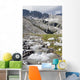 Mountain Stream And Mountains Wall Mural